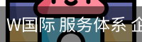 W国际